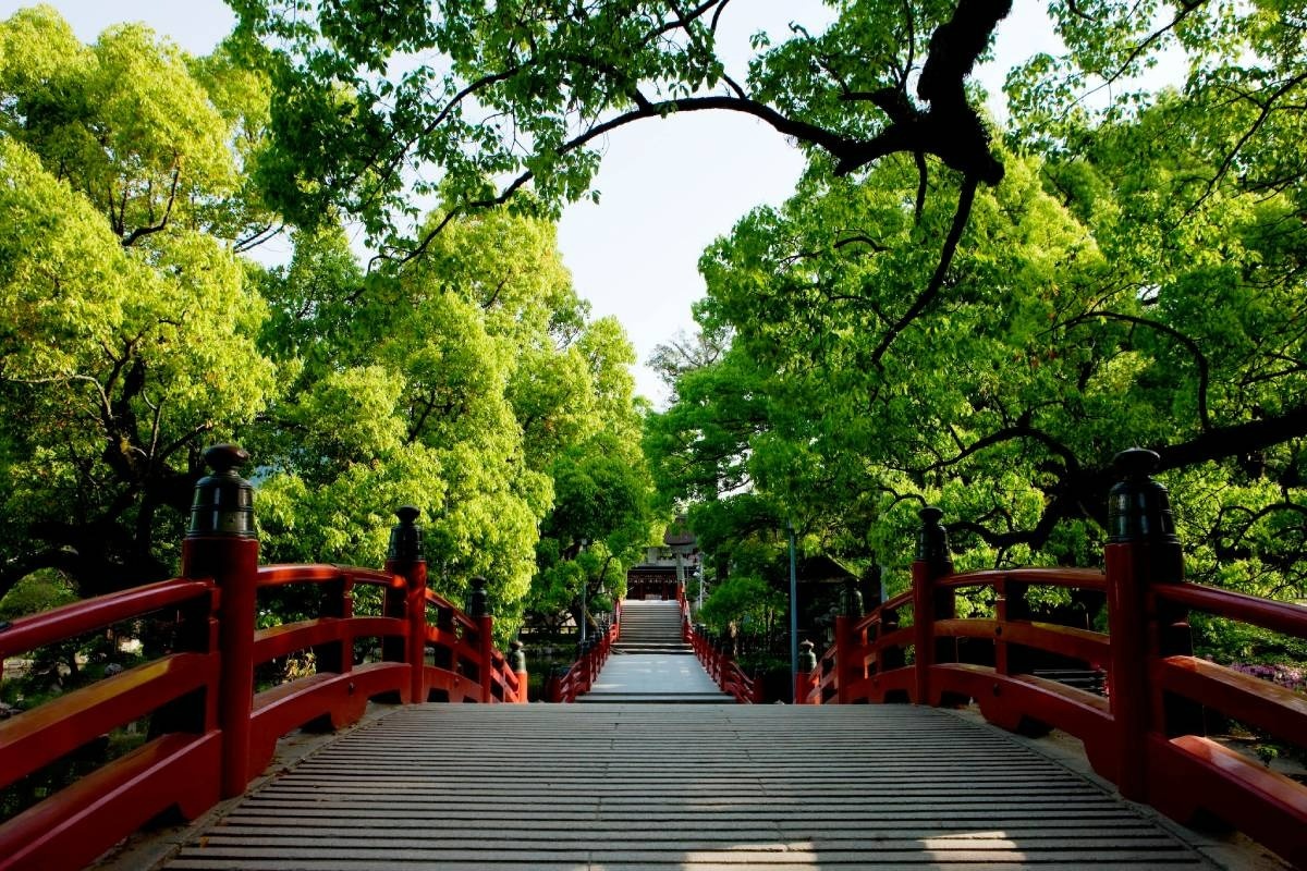 この橋を渡ることで身を清めて御本殿へ