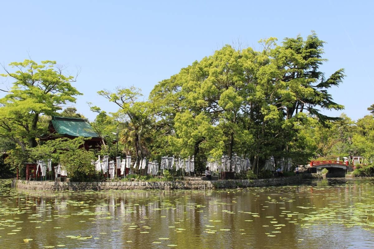 源頼朝公が造らせたという源平池