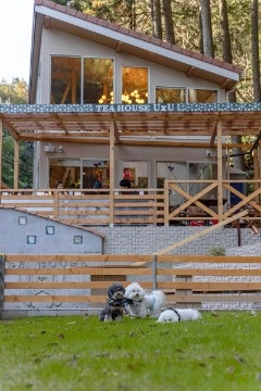 テラス席は湯の花温泉を引いた足湯もあり、愛犬と同伴もOK 