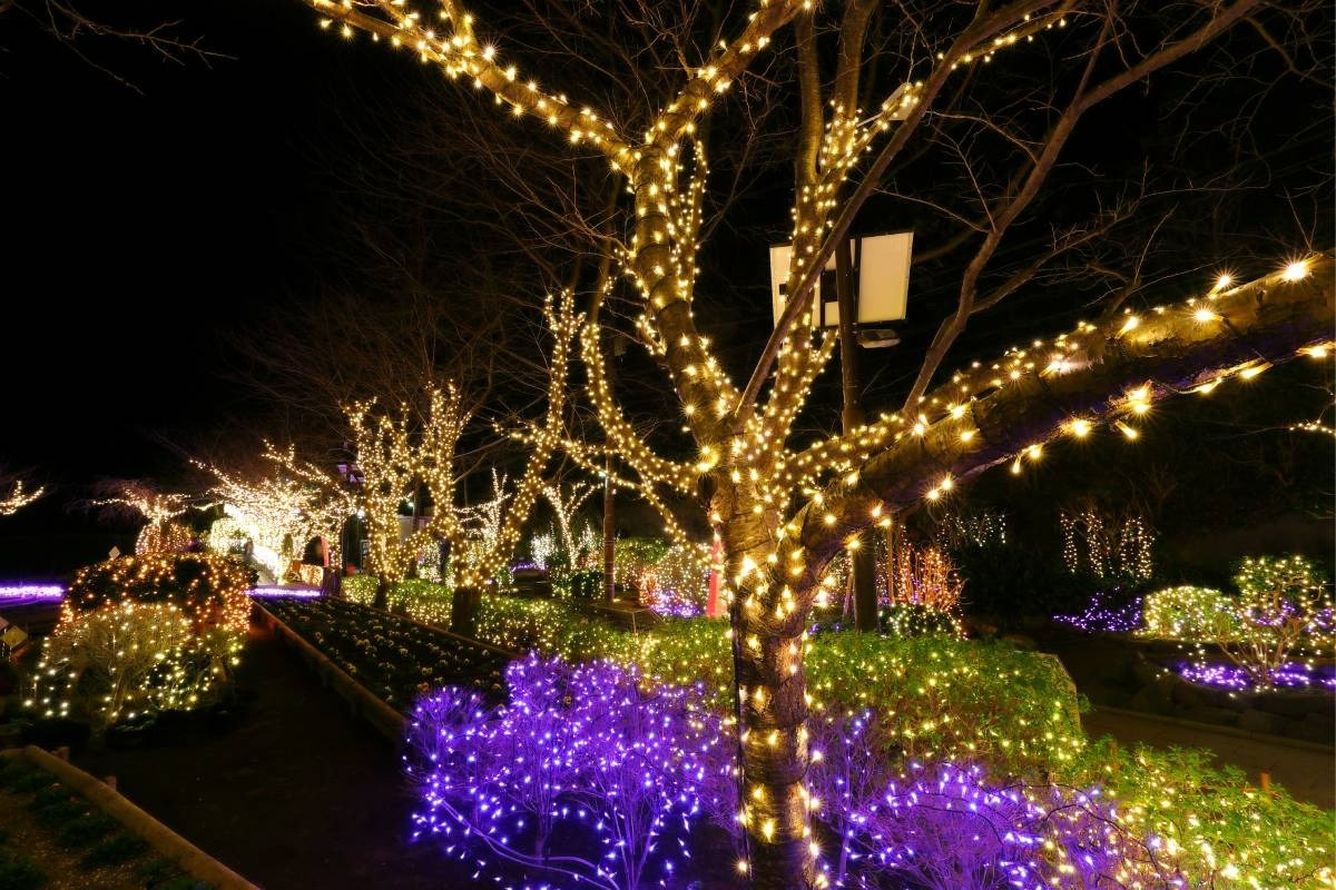 江島神社の中津宮もライトアップ