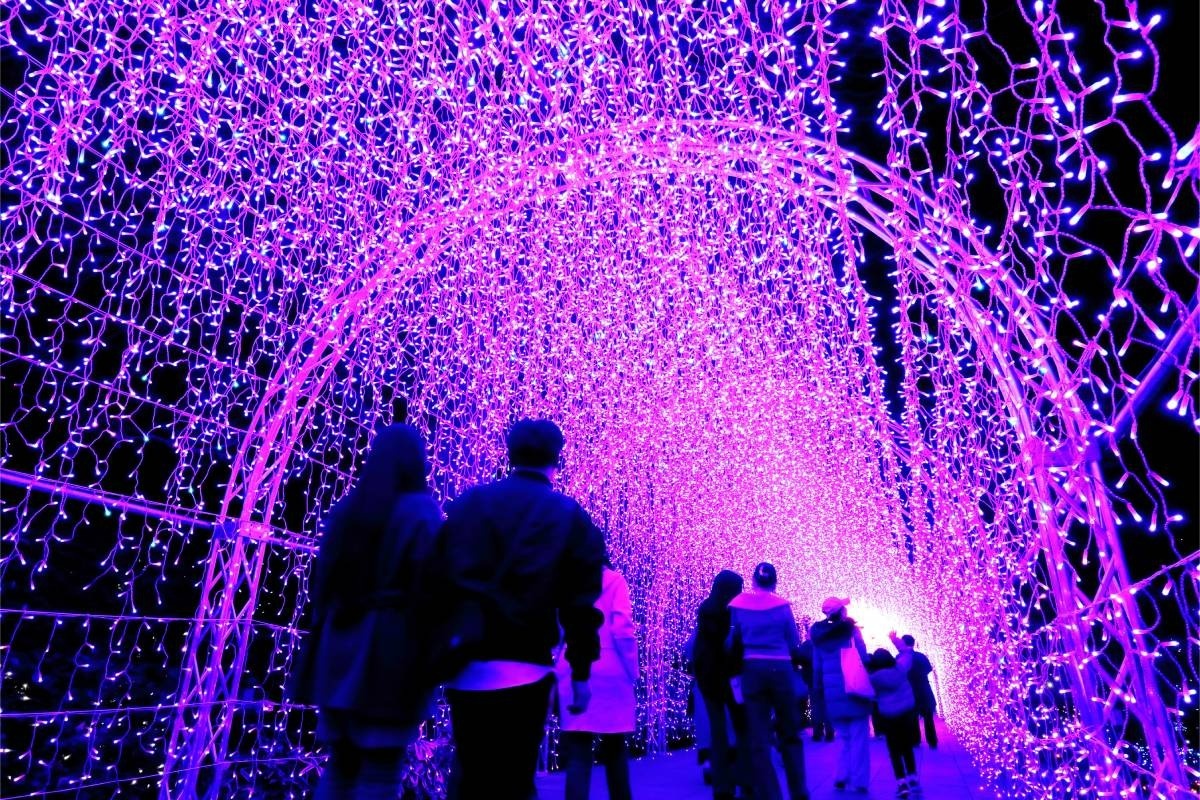 LED密度が日本一高いといわれているトンネル空間