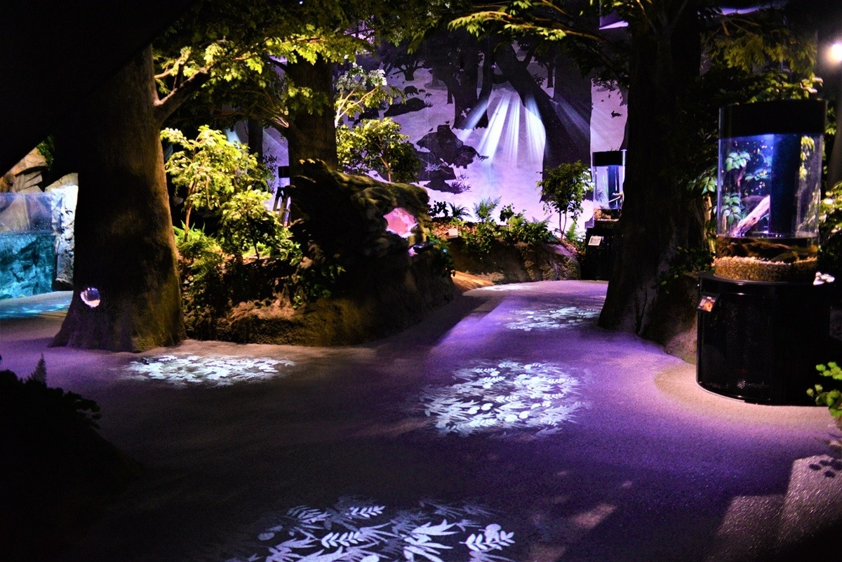 足摺の原生林を再現した展示も