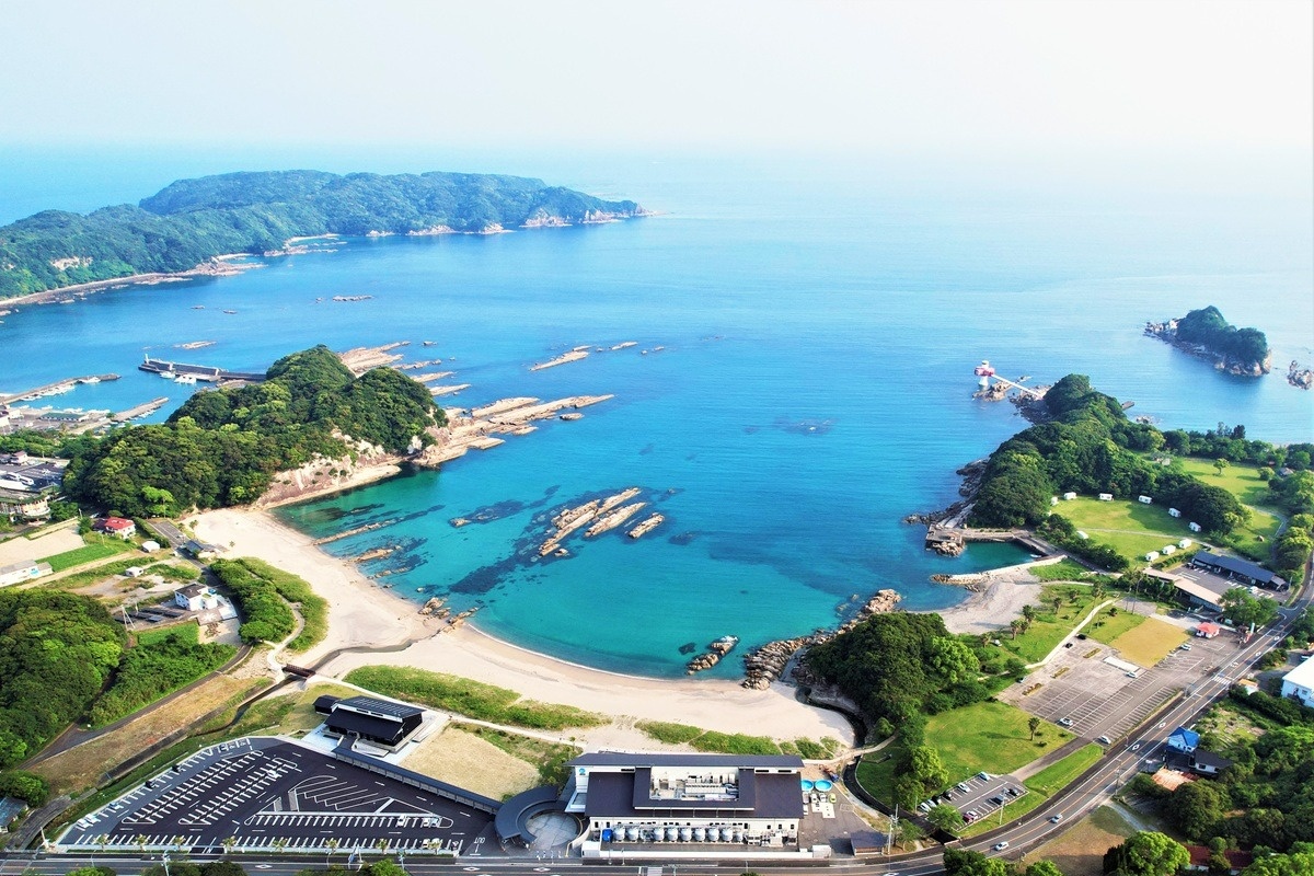 海洋館の前に広がる竜串湾