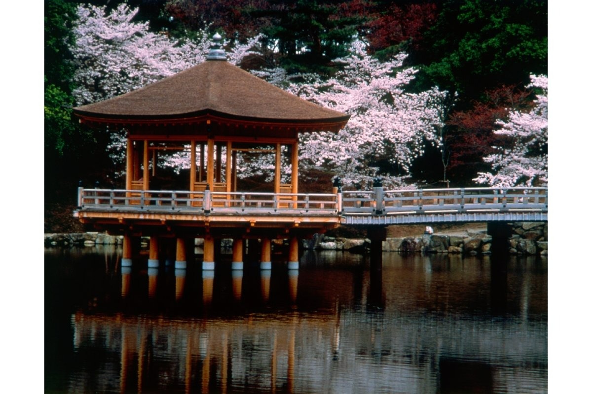浅茅が原園地は奈良公園を代表する名勝地
