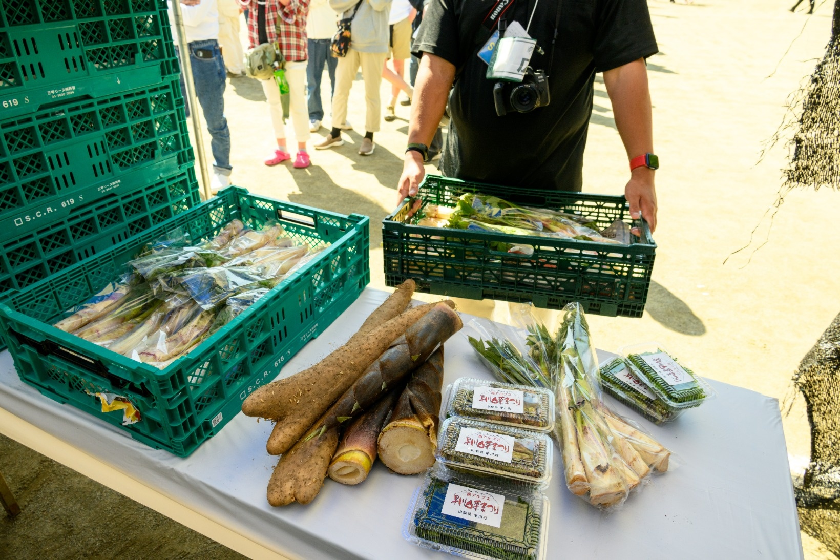 ラインアップはタラの芽・コシアブラ・コゴミ・わらび・ふきなど