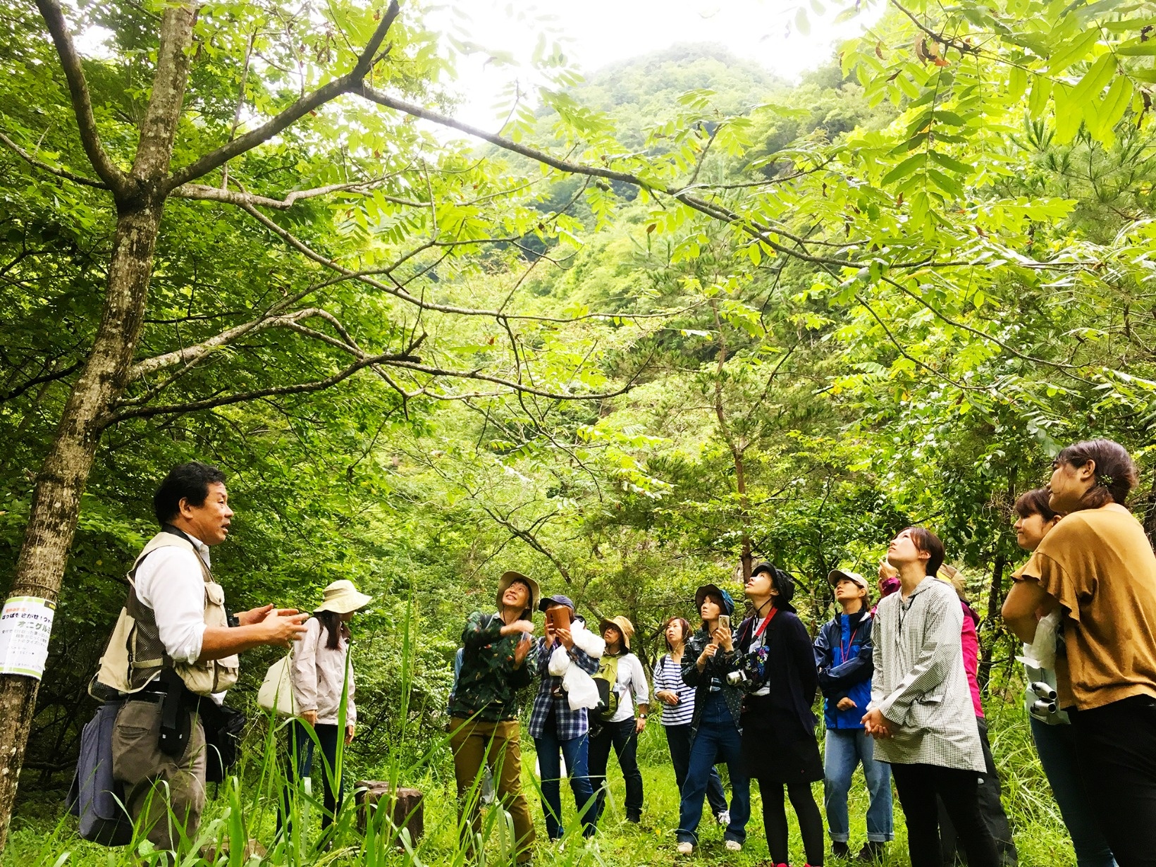 南アルプス邑野鳥公園内を散策しながら、季節ごとの自然の魅力をプロのガイドが楽しくご案内
