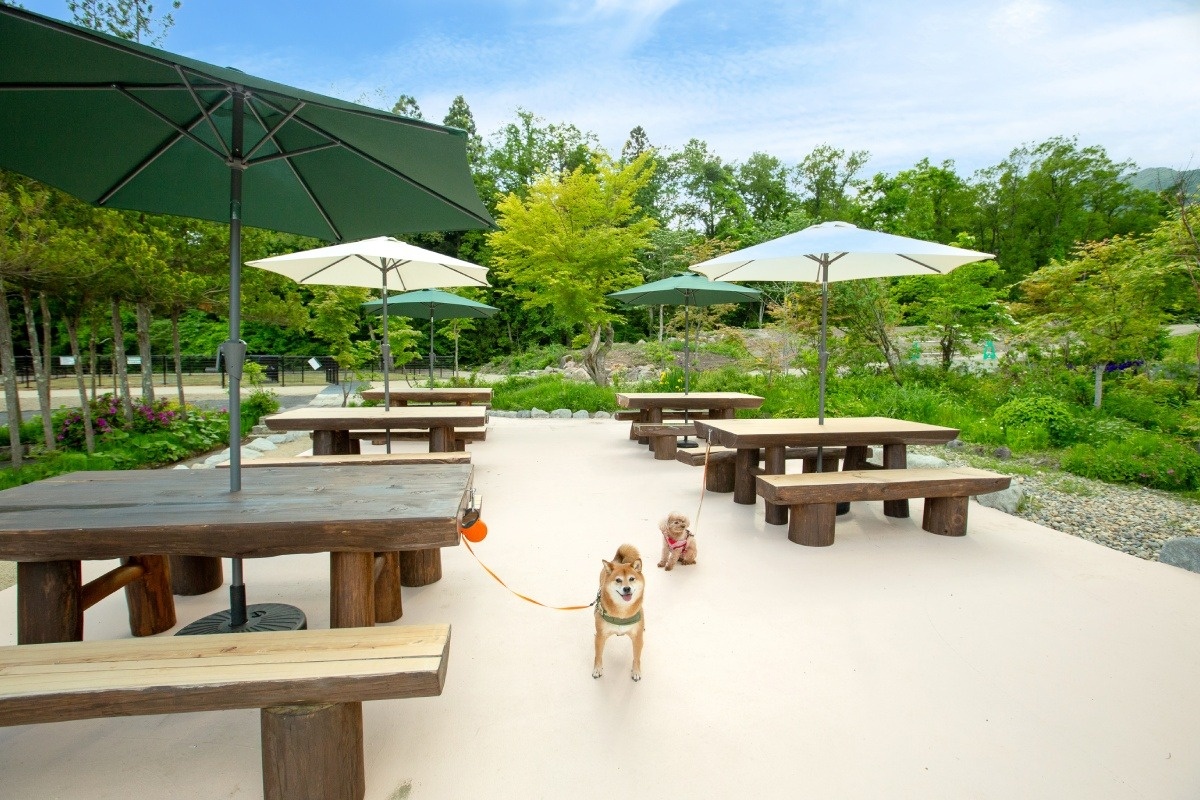 テラス席は愛犬と一緒に利用もOK