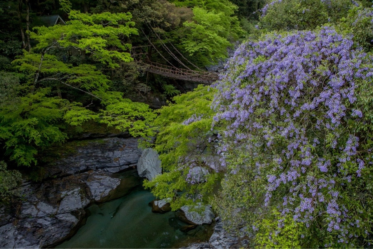 3年ごとに架替えが行われている