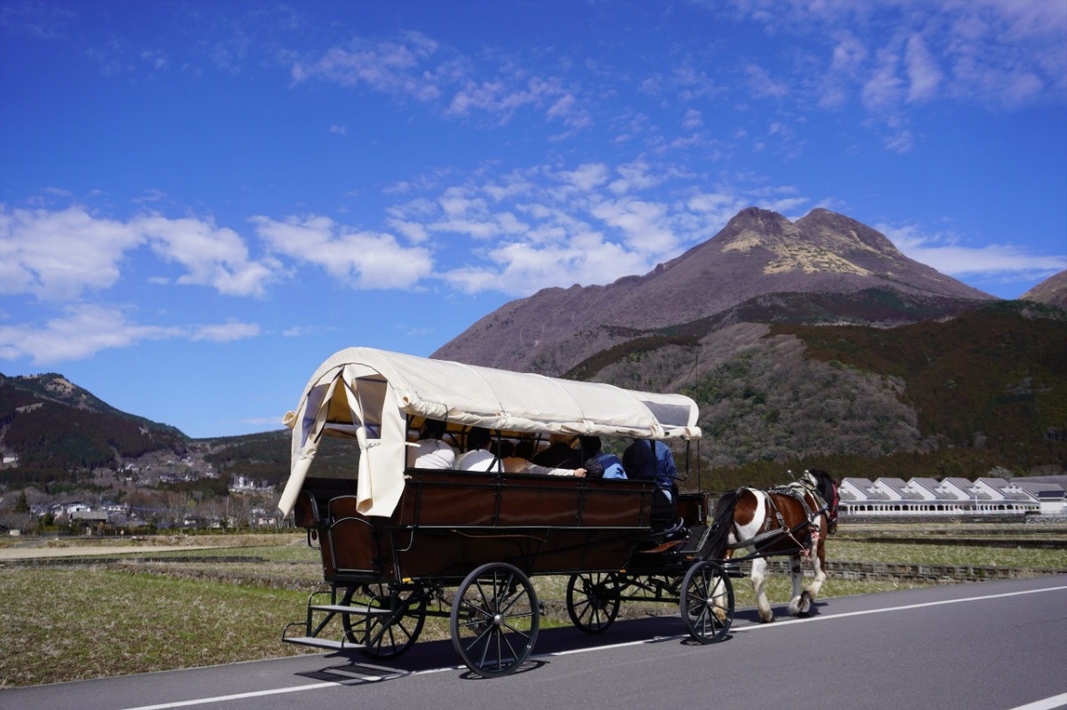 由布岳のすそ野に広がる田園風景を眺めながら