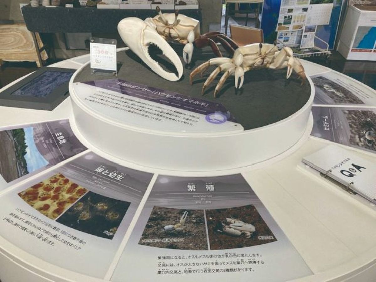 博物館の展示