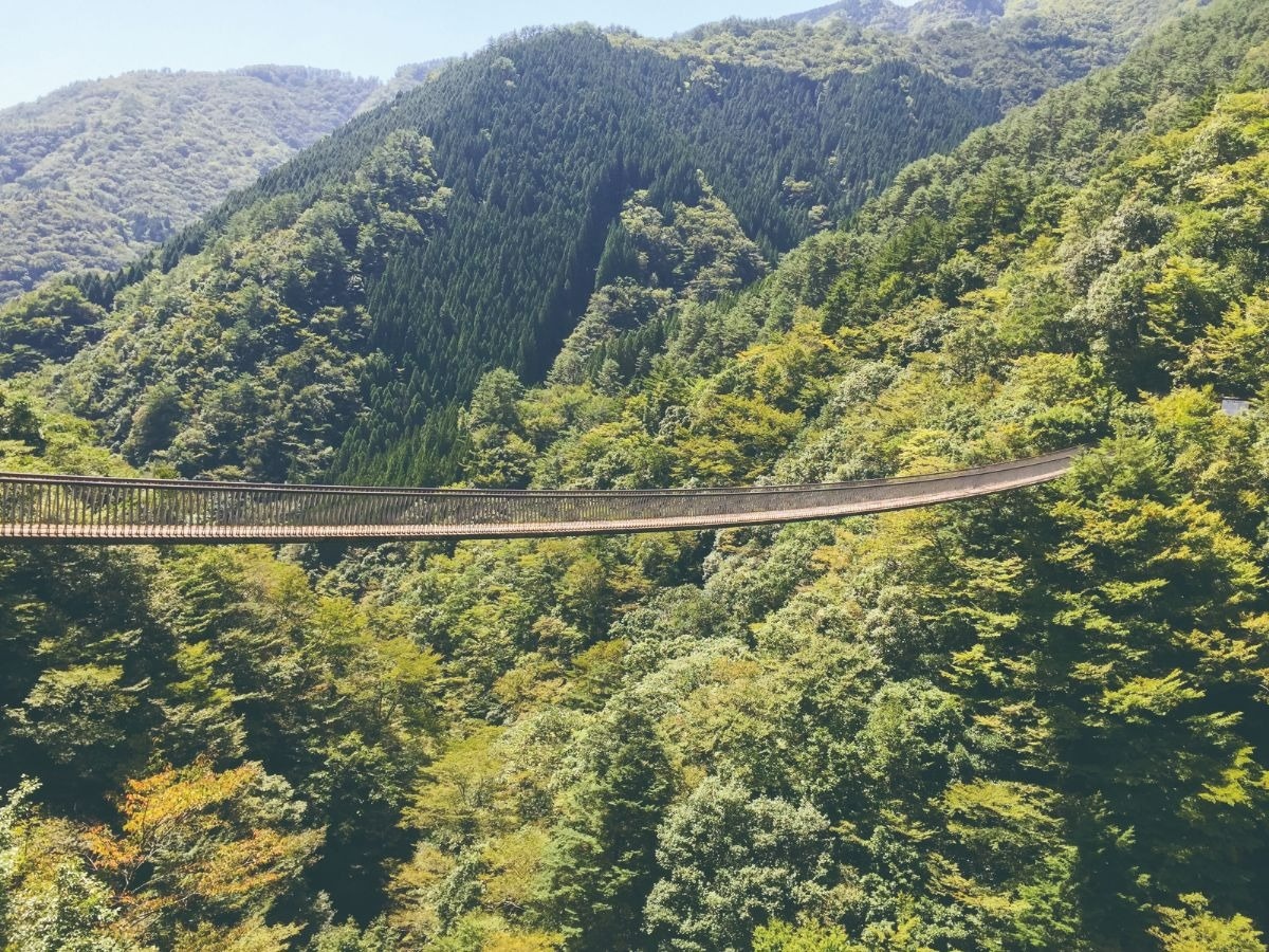 山にかかった吊り橋