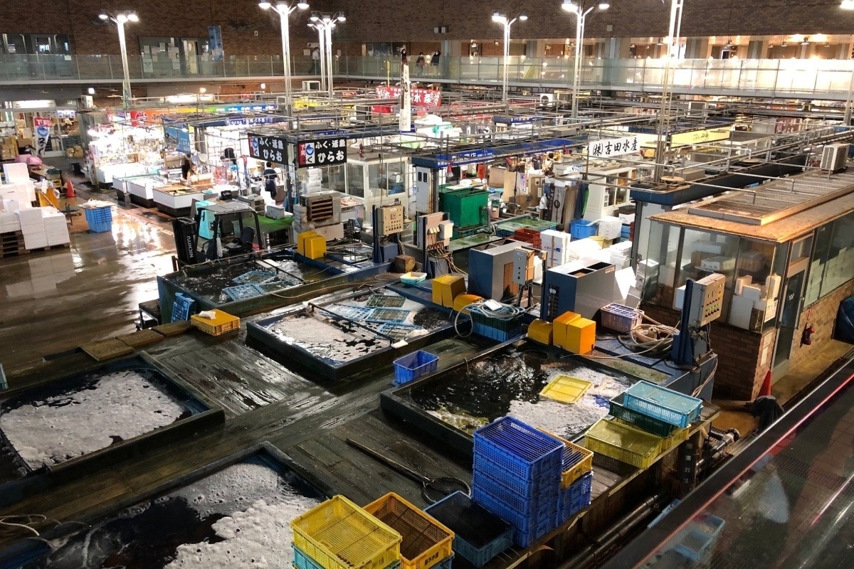日本最大級のフグ取り扱い市場