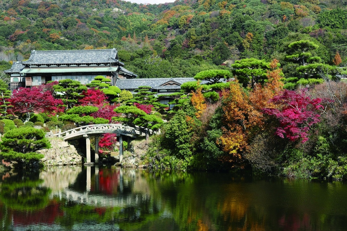 庭園