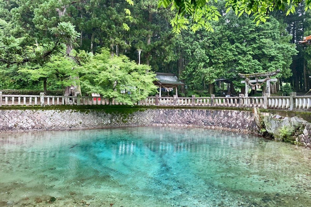 池