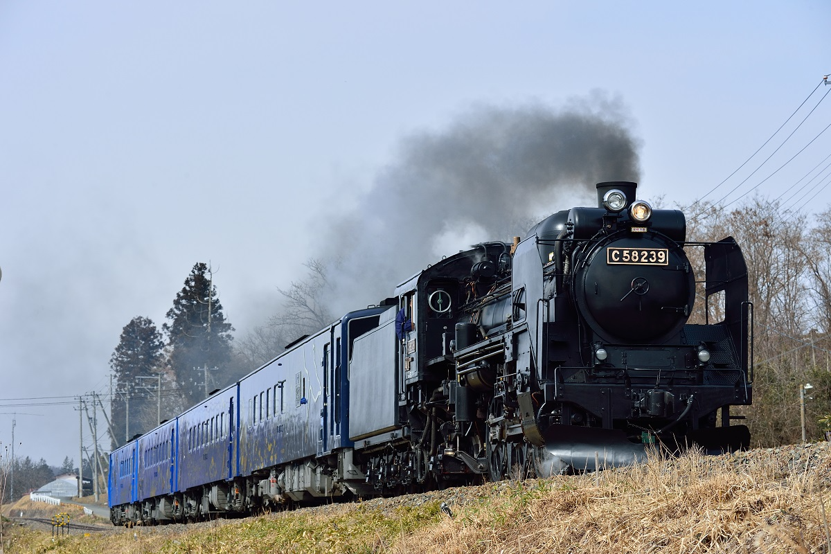 日本全国のエリア別jr列車一覧 外観 座席 サービスをくわしく紹介 トレたび 鉄道 旅行情報サイト