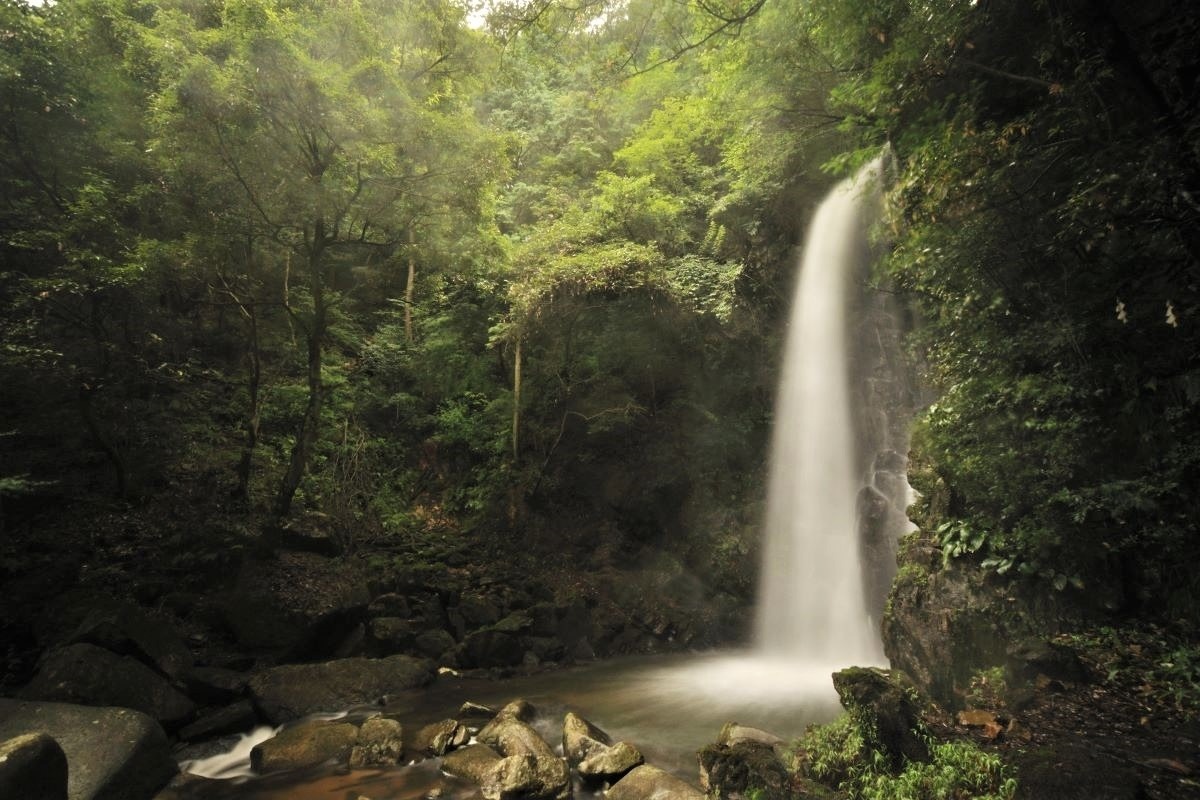 竜吟の滝