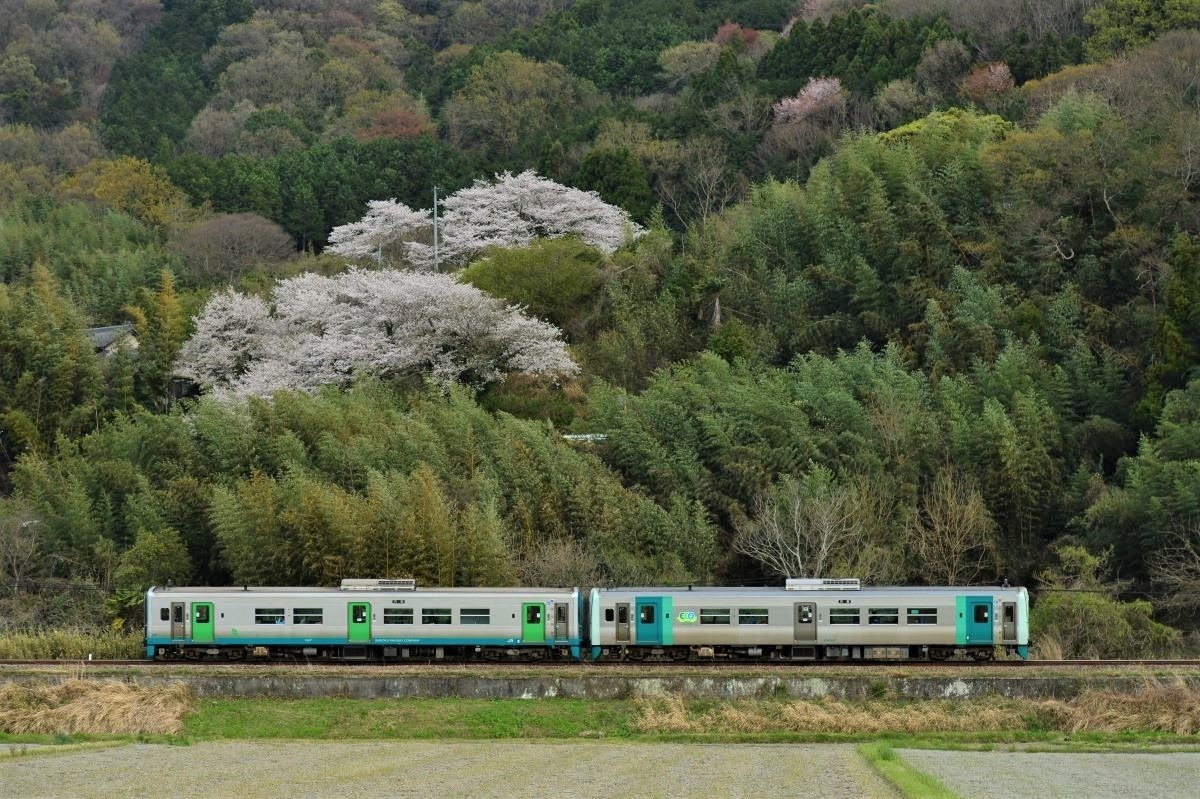 1500型 Jr四国 高徳線や牟岐線の絶景をバックに走る姿がいとおしい Ecoな車両 トレたび 鉄道 旅行情報サイト