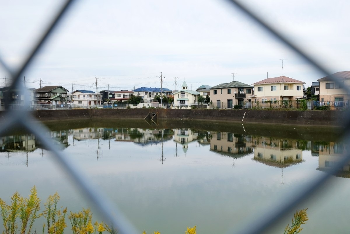 江戸時代は「野馬たちの水飲み場でもあった」池は住宅に囲まれている