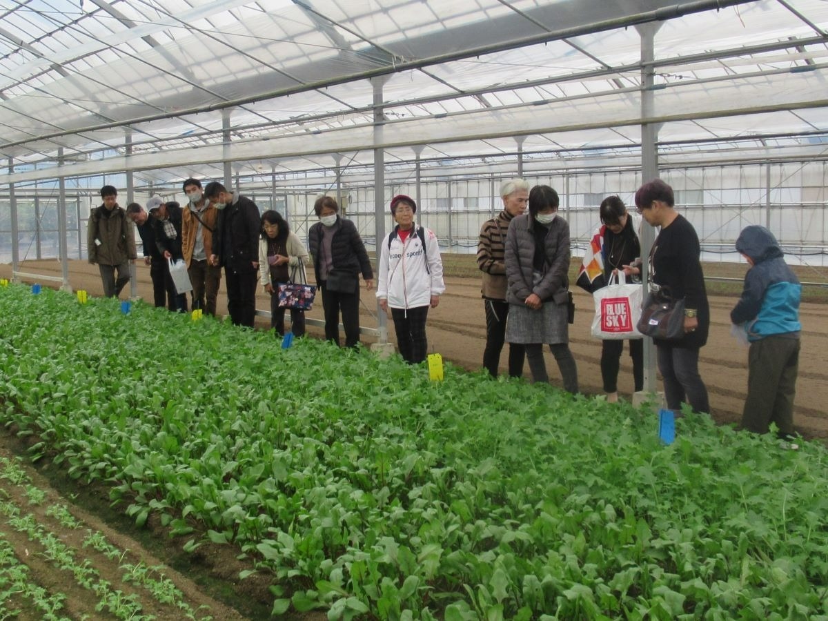 交通新聞