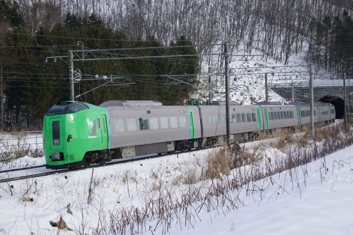 雪を走る緑色の列車