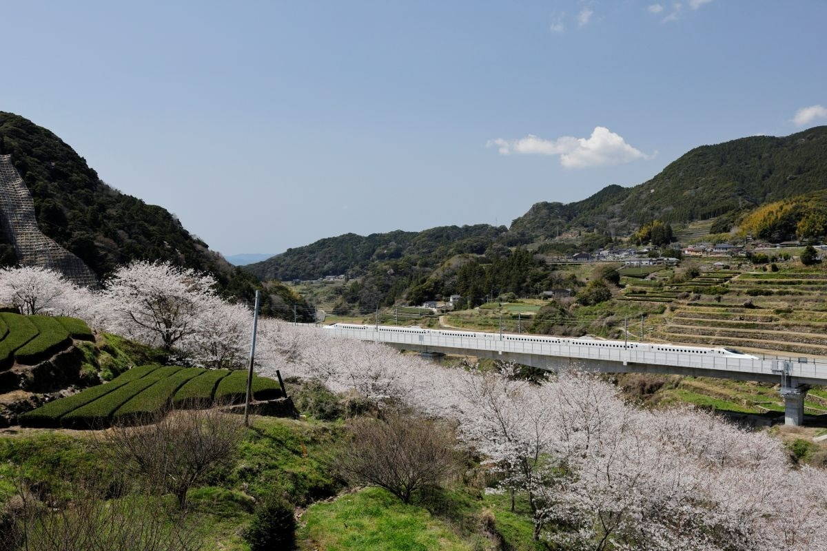 西九州新幹線　5秒の桜