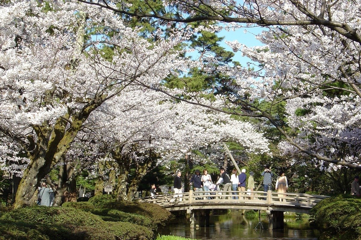 兼六園の花見橋