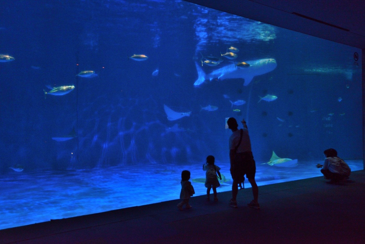 水族館