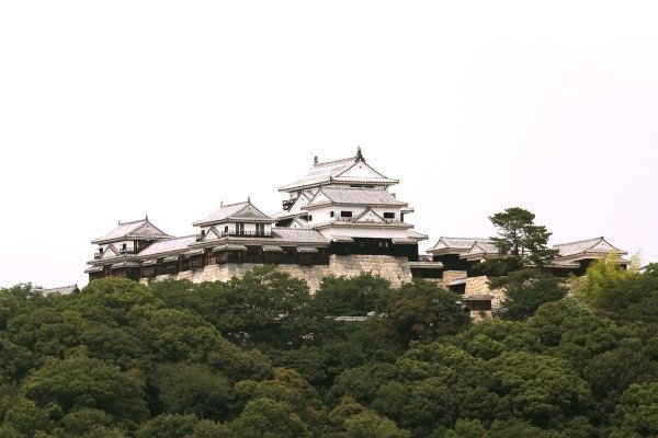 城山（勝山）にそびえる松山城