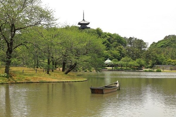 新緑の季節の三渓園