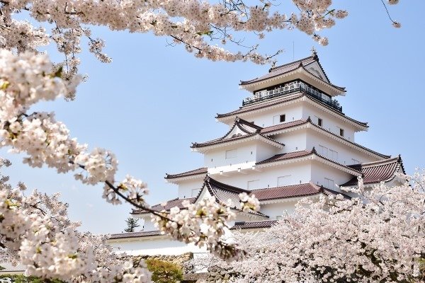 桜の名所でもある鶴ヶ城