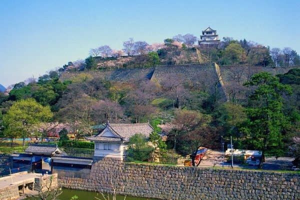 高い石垣にそびえる丸亀城　写真／香川県観光協会