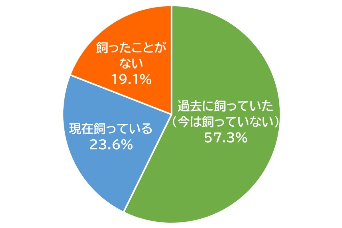 過去に飼っていた（今は飼っていない）57.3%、現在飼っている23.6%、飼ったことがない19.1%