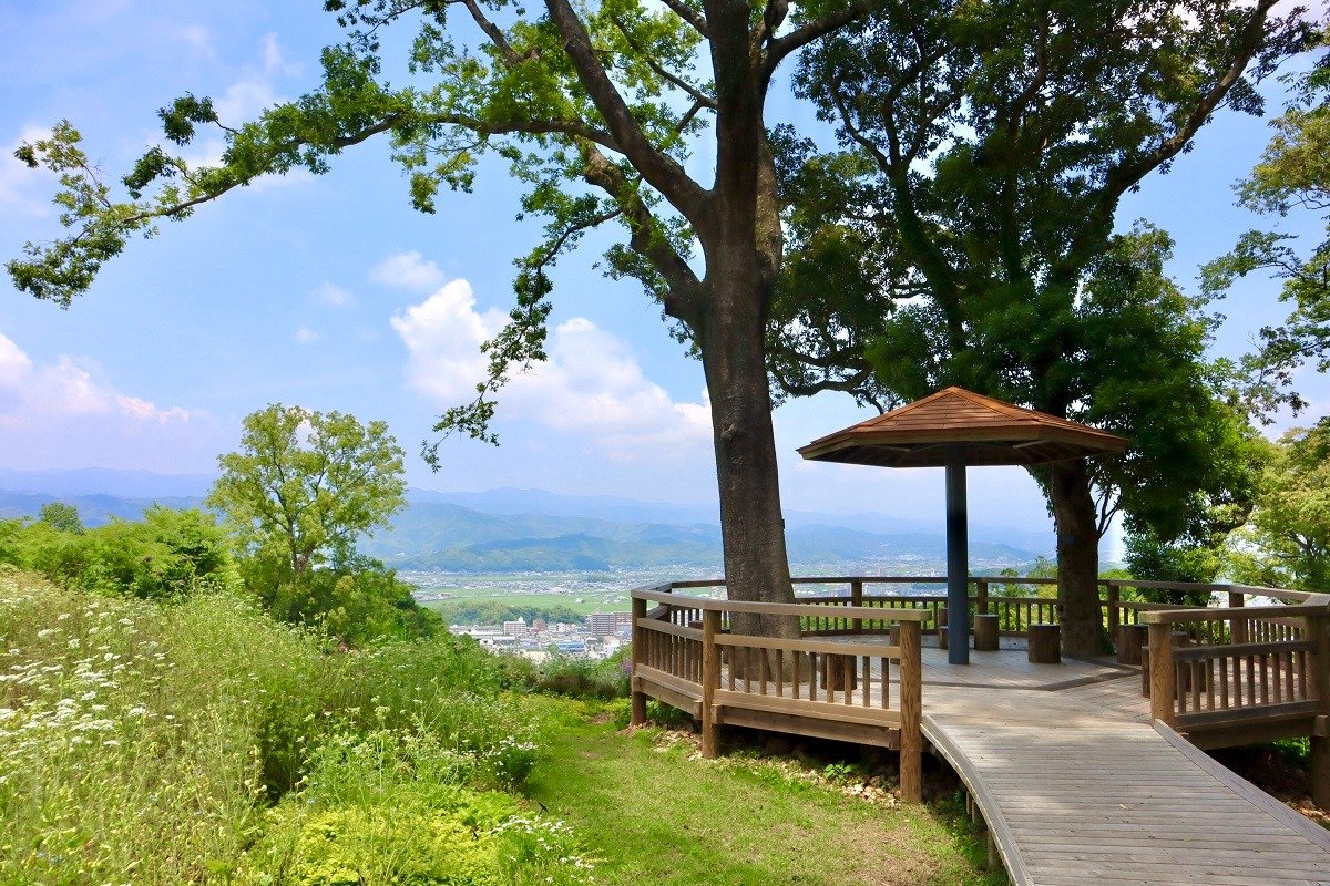 高知市街地を一望できる「こんこん山広場」　写真提供／高知県立牧野植物園