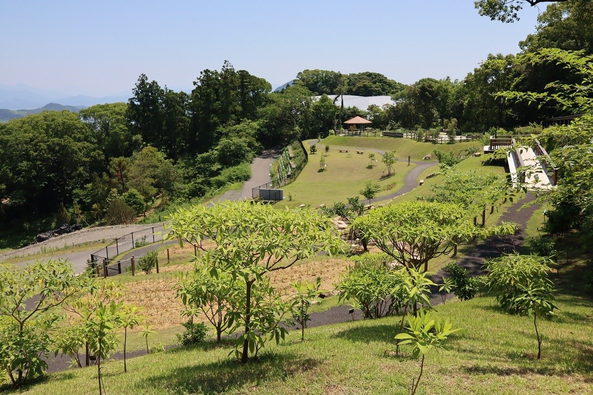 高知特産の野菜や果樹を植栽する「ふむふむ広場」　写真提供／高知県立牧野植物園