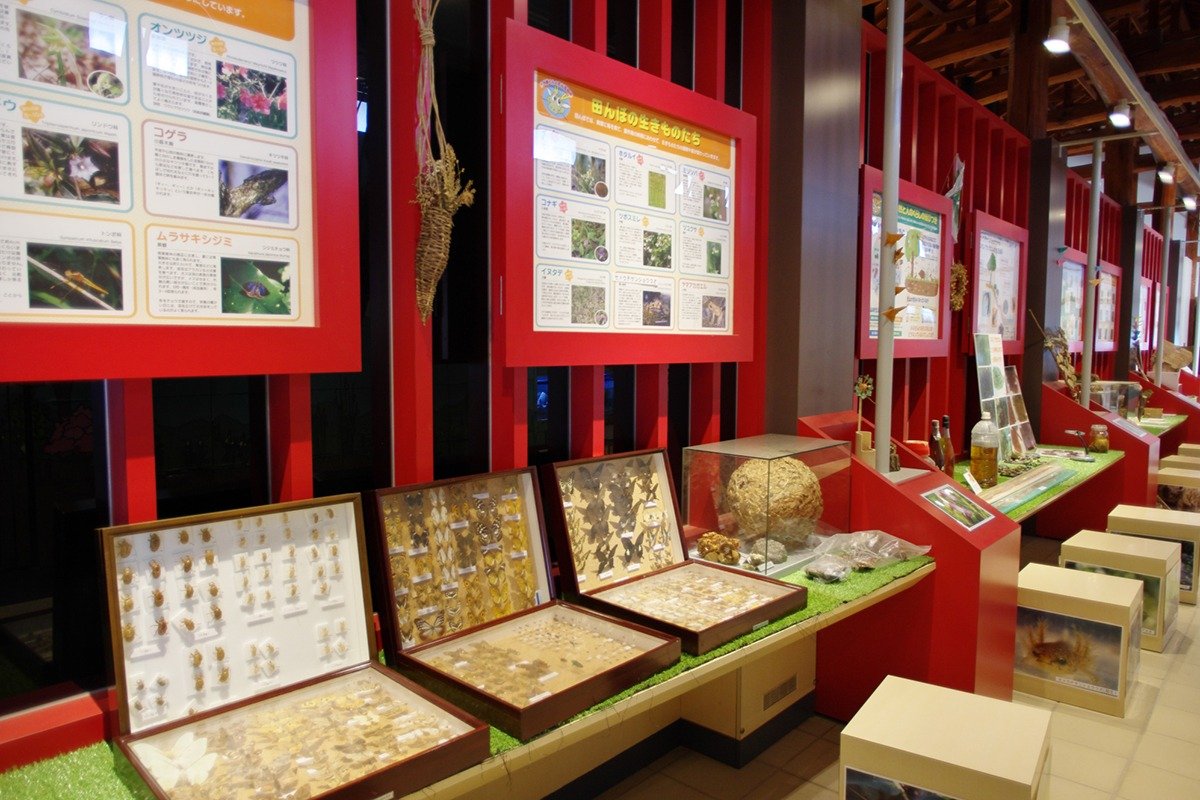 自然生態園には展示館も整備されており、四国の暮らしと自然の歴史が学べます