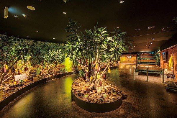 カカオの木のジオラマなどが展示されたカカオファームゾーン