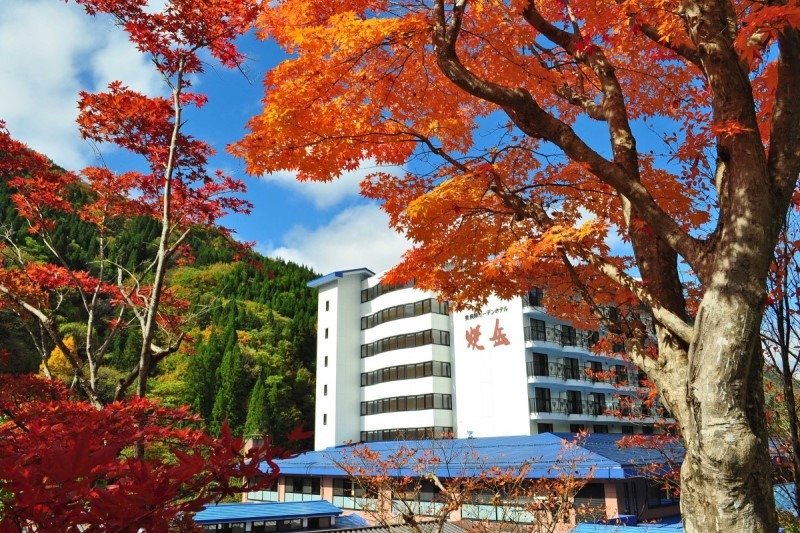 大自然に包まれた宿。部屋は和室と洋室が好みで選べます