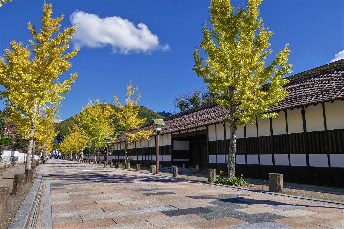 多くの史跡が集まる殿町通り。10月下旬～11月上旬はイチョウ並木が黄金色に染まります