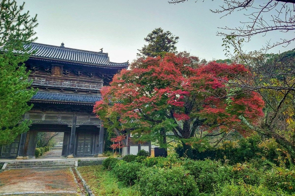 重厚な建物と紅葉が調和する三門。境内の紅葉の見頃は11月中旬～下旬