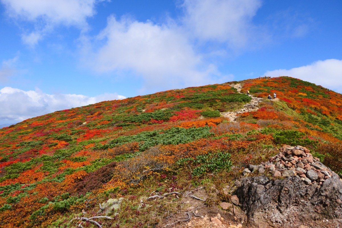 山頂の西側、天狗平あたりの紅葉