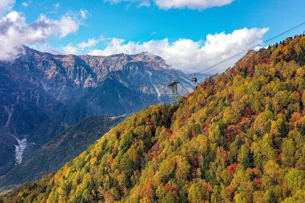 一面の紅葉の中を登ってゆくロープウェイ