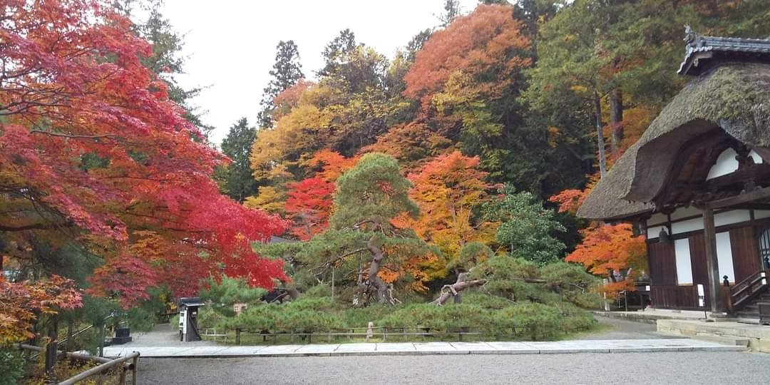 常楽寺では10月下旬～11月上旬に境内が色づき、その様子は「七色もみじ」といわれます