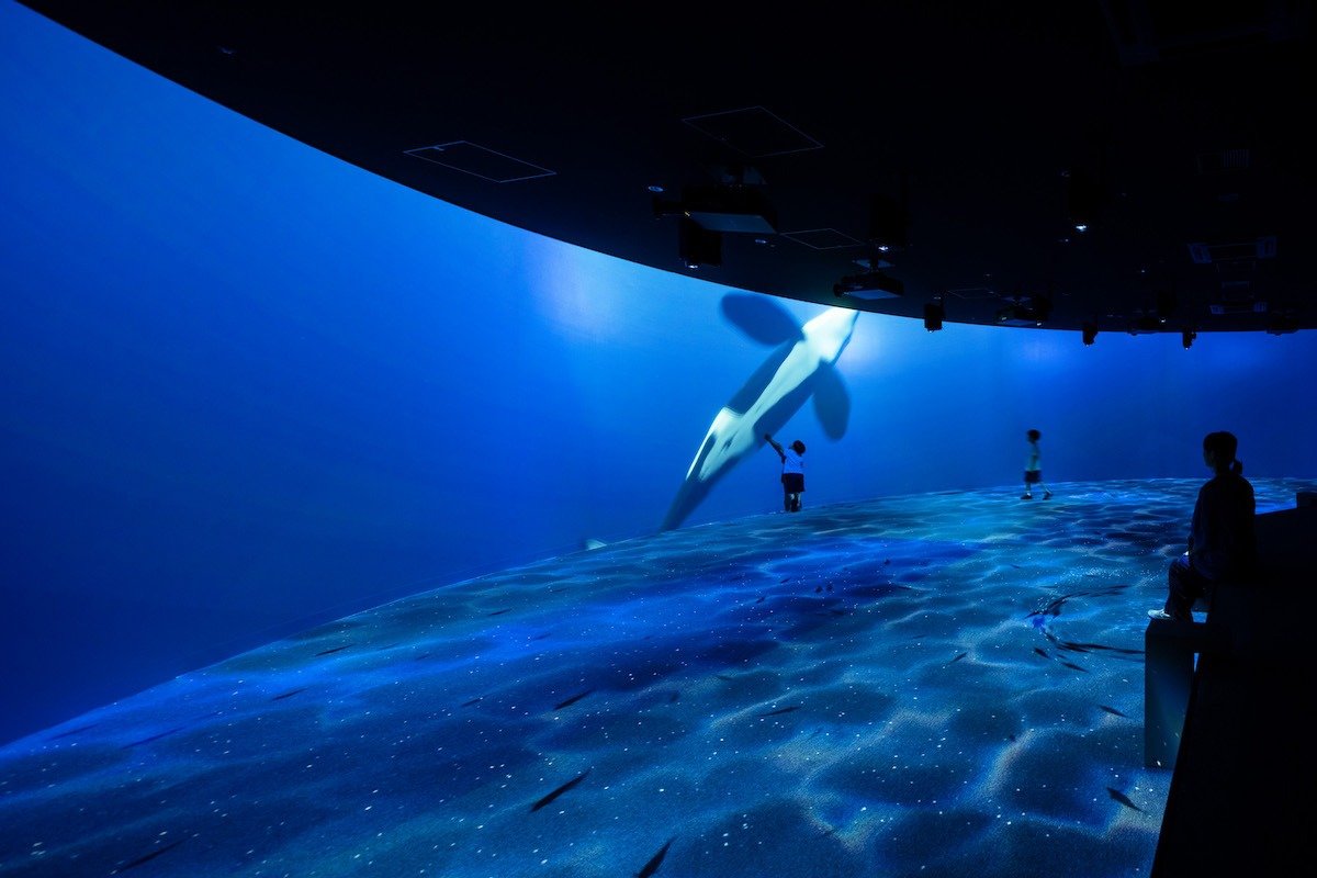 デジタルアート展示「ブルールーム」は海の中にいるような没入感です