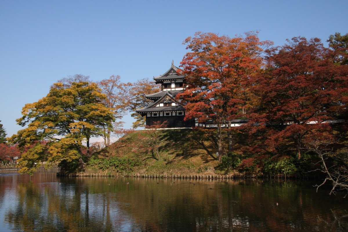 紅葉に包まれた三重櫓。見頃は11月上旬～中旬