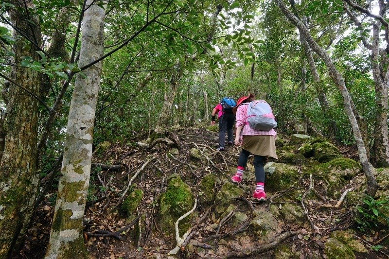 砲台跡がある広場から急傾斜の山道を10分ほど登ると山頂に到着します