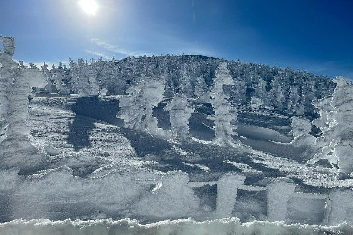 地蔵山頂駅周辺の日中の樹氷風景（写真／蔵王ロープウェイ）
