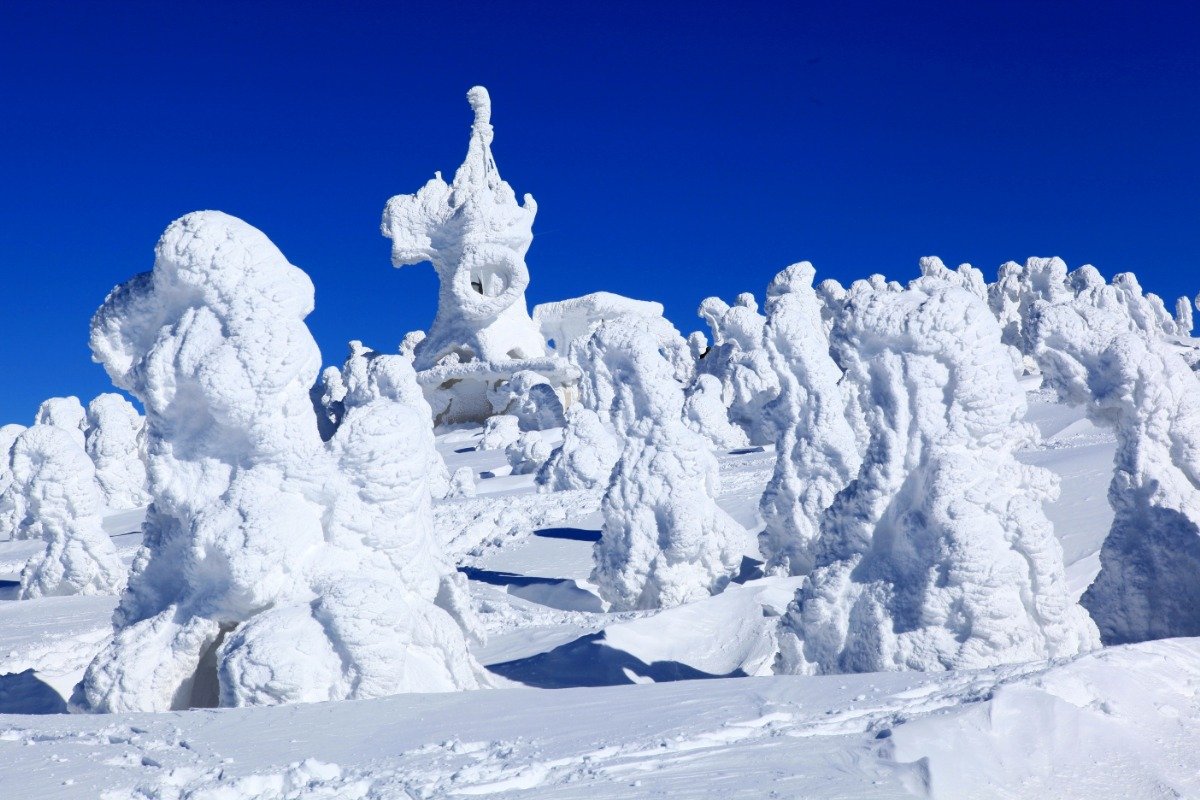 山頂公園駅周辺の樹氷風景（写真／八甲田ロープウェー）