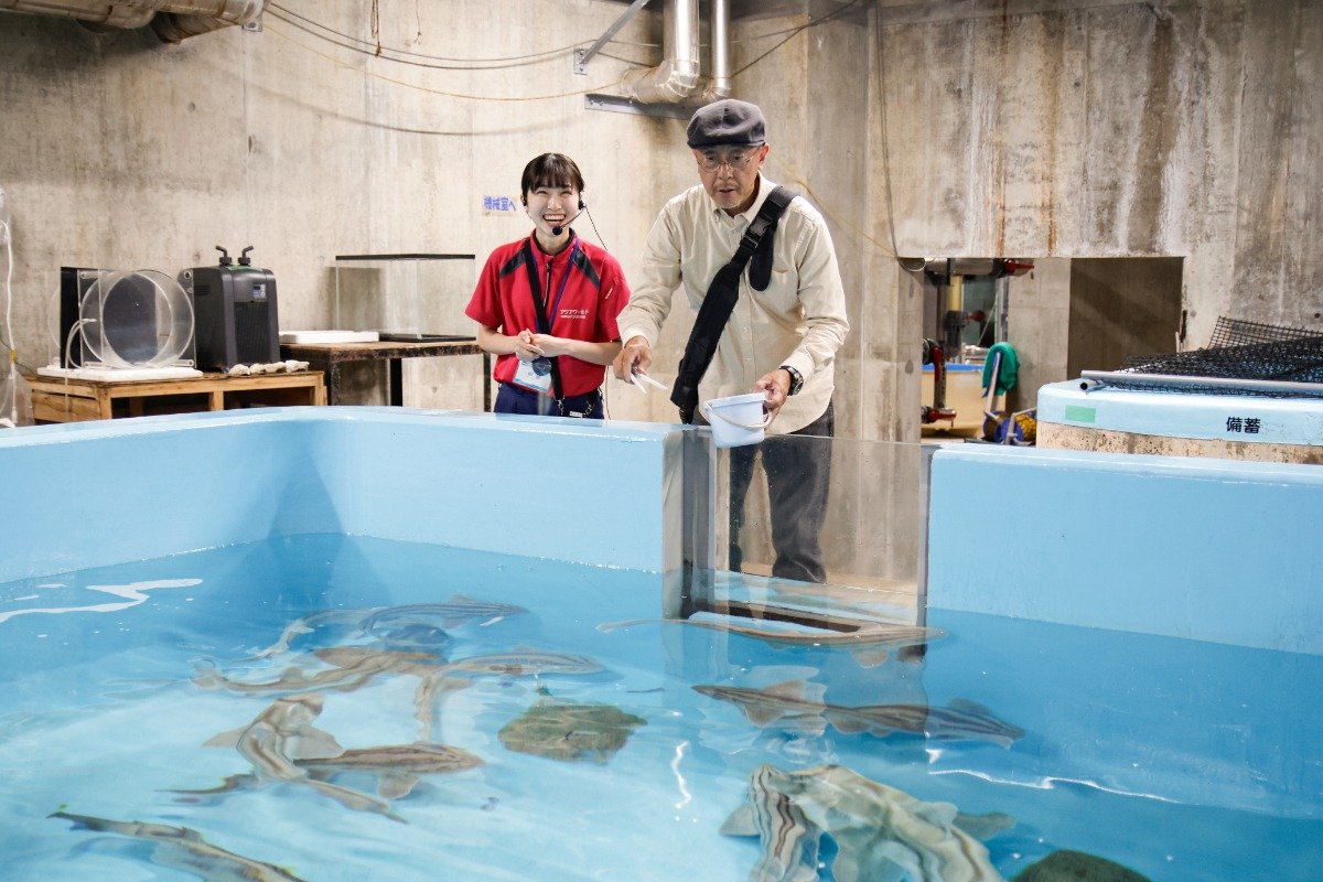 サメスペシャルツアーでは給餌体験もできます