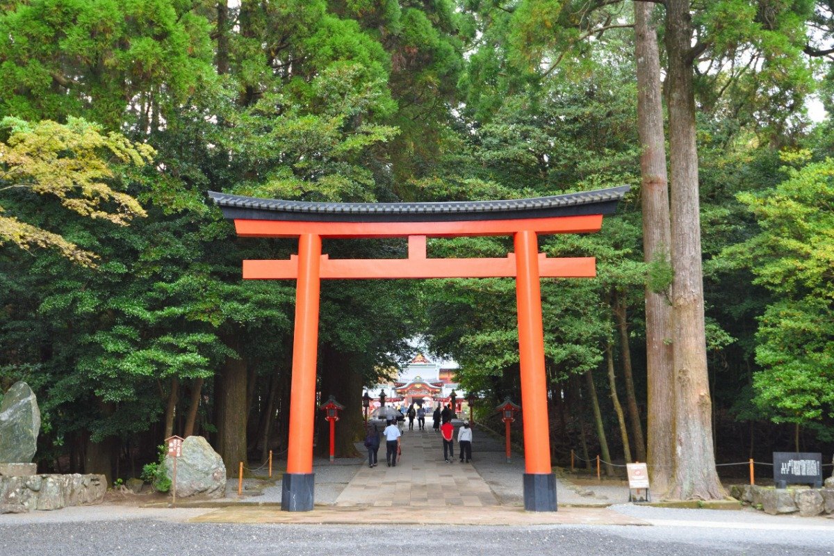 巨木に囲まれた三の鳥居。正面に社殿が見えます