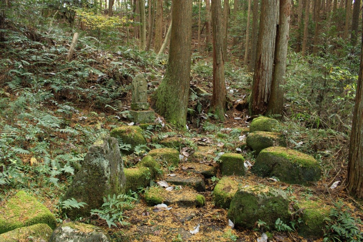 自然に溶け込んでいらっしゃいます